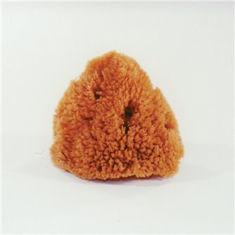 Commercial Sponge (Dry)