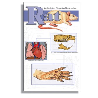 Dissection Guide - Rat