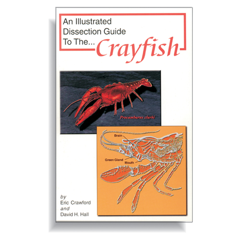 Dissection Guide - Crayfish