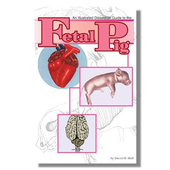 Dissection Guide - Fetal Pig