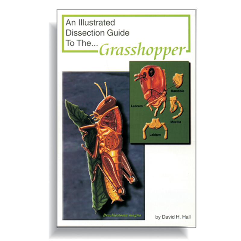 Dissection Guide - Grasshopper