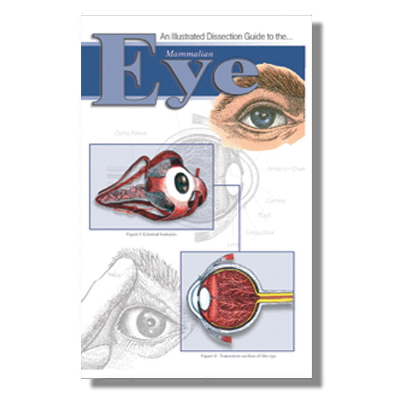 Dissection Guide - Mammalian Eye