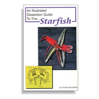 Dissection Guide - Starfish