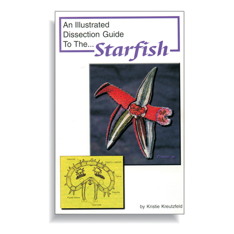 Dissection Guide - Starfish