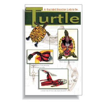 Dissection Guide - Turtle