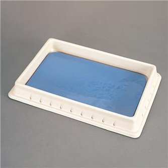 Standard Dissecting Pan (polyethylene) & Pad