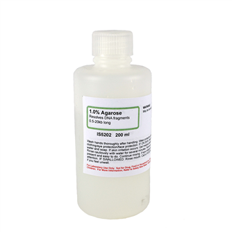 Production Of Biodiesel