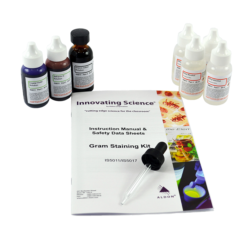 Gram's Stain Kit 