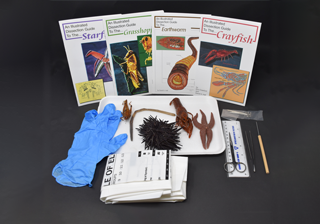 Basic Zoology Kit