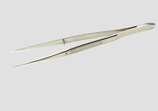 Forceps