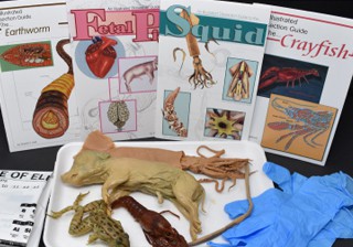 Distance Learning Kits