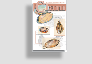 Clam