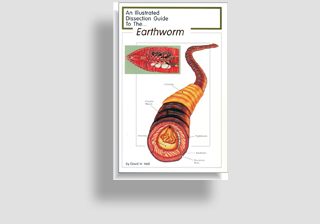 Earthworm