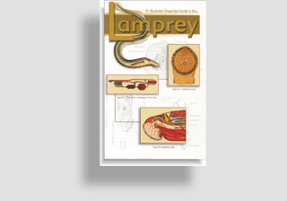 Lamprey