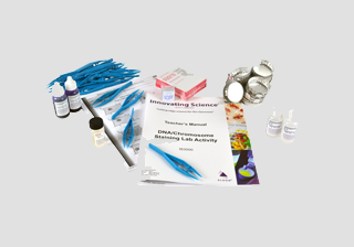 Dna/Chromosome Staining