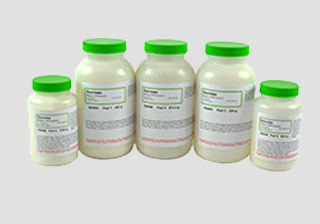 Enzyme Activity