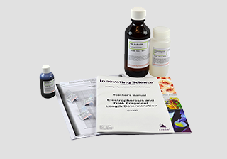 Electrophoresis & DNA Fragment Length Determination