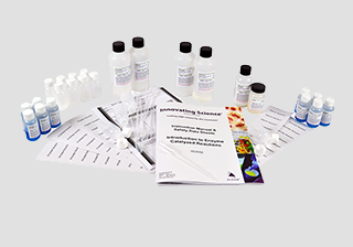 Introduction to Enzyme Catalyzed Reactions